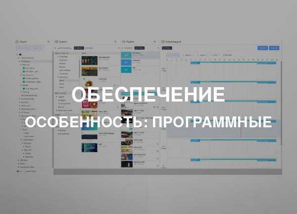 Особенность: Программные